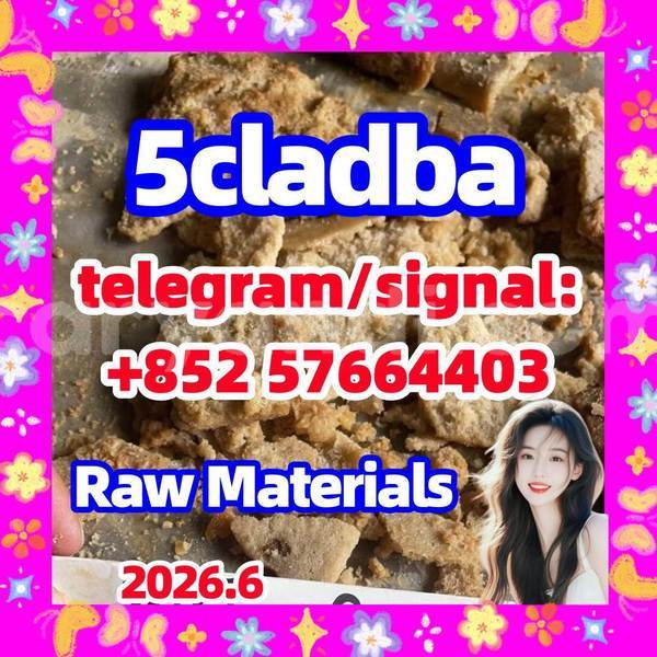 Big with watermark 510