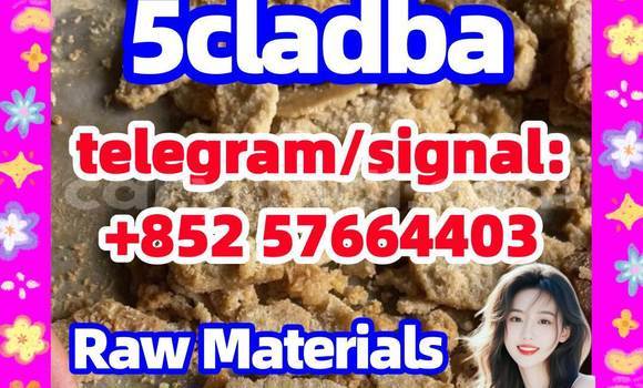 Medium with watermark 510