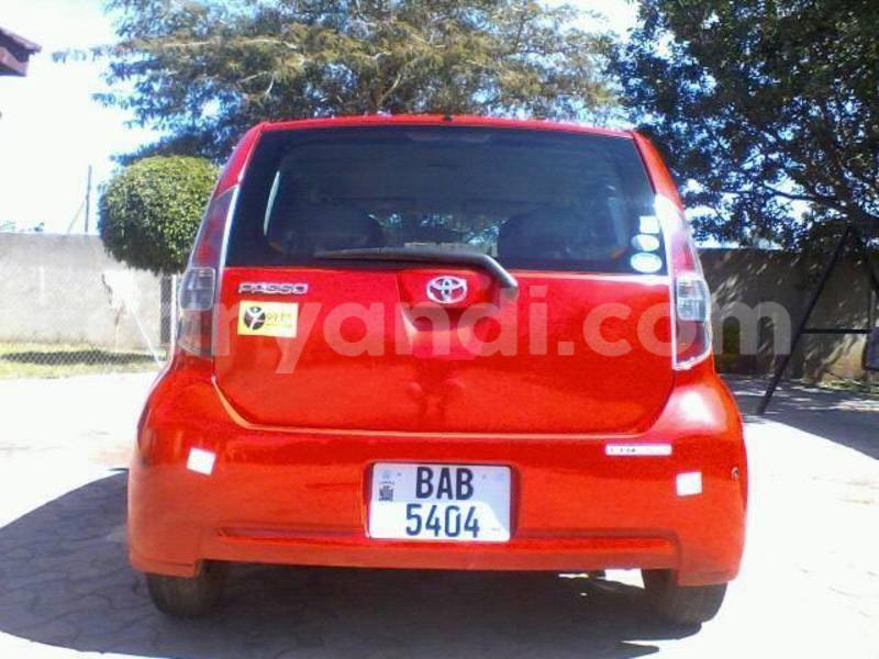 Big with watermark 13669055 593746597474599 1280054062012122286 n