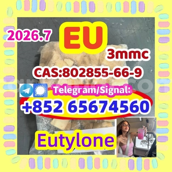 Big with watermark eutysdfrgdtgt %e5%89%af%e6%9c%ac