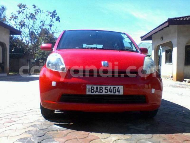 Big with watermark 13669741 593746560807936 4912030604105133457 n