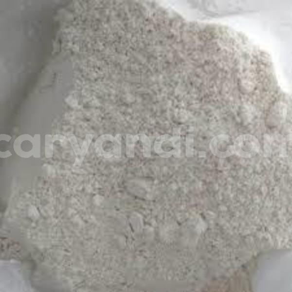 Big with watermark cychlorphine