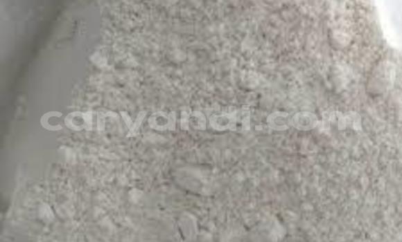 Medium with watermark cychlorphine