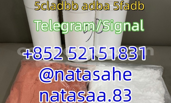 Medium with watermark 2 %e5%89%af%e6%9c%ac