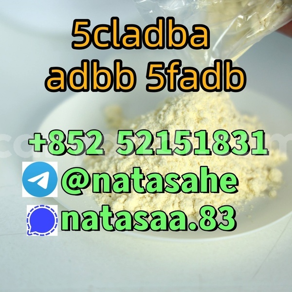 Big with watermark 6