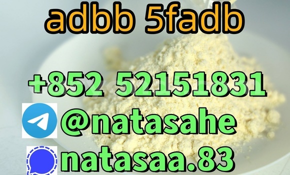 Medium with watermark 6