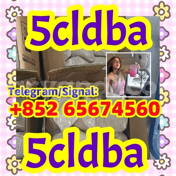 Big with watermark photo 2026 03 04 10 21 30 %e5%89%af%e6%9c%ac