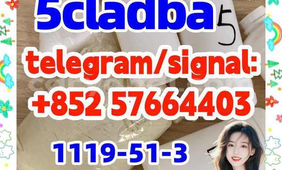 Medium with watermark 51