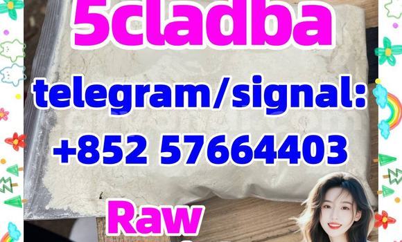Medium with watermark 53