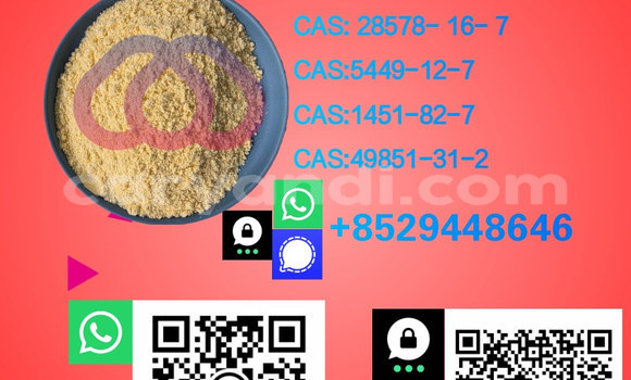 Medium with watermark %e5%89%af%e6%9c%ac 7.1 26 
