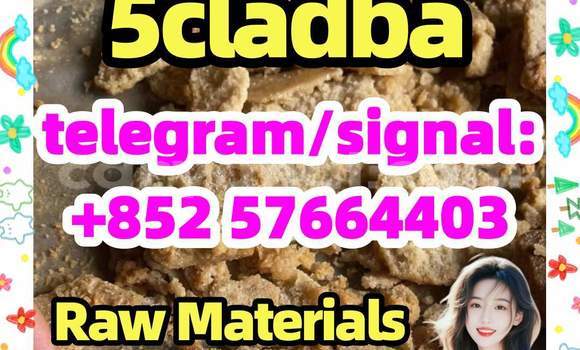 Medium with watermark 55