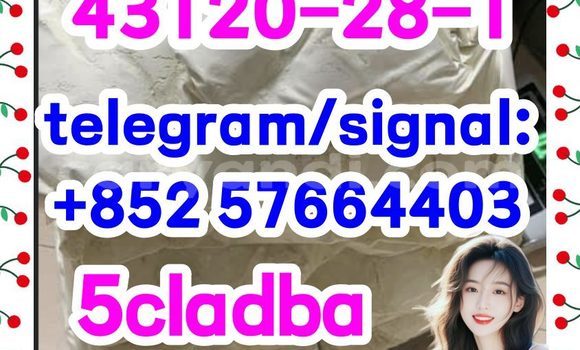 Medium with watermark 511