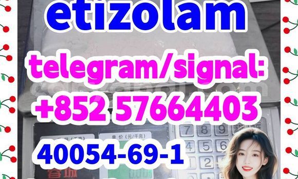 Medium with watermark e1