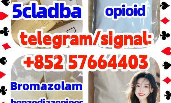 Medium with watermark z1
