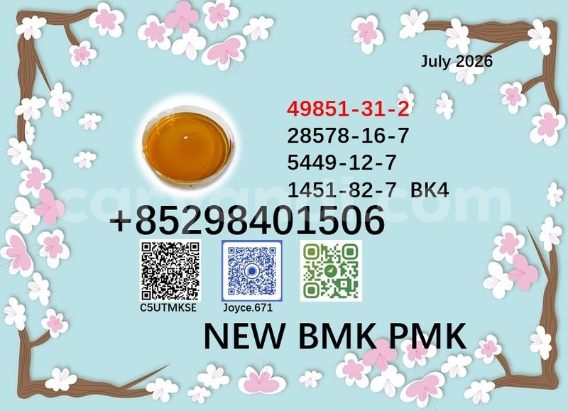 Big with watermark 49851 82
