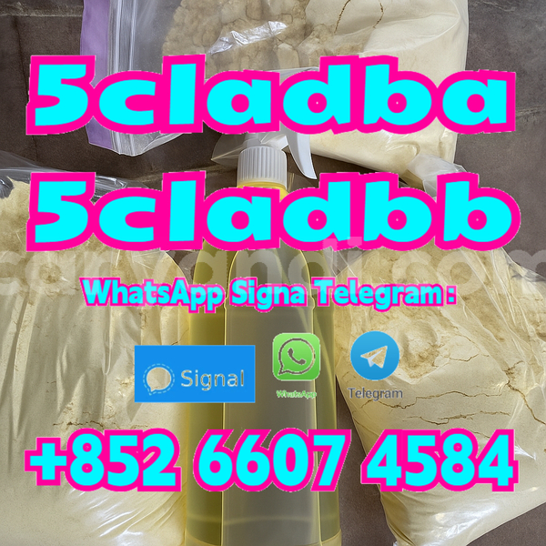 Big with watermark resized image