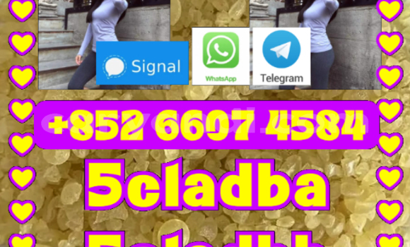 Buy 5CL-ADB supplier 5cladba in Chipata in Zambia Buy 5CL-ADB supplier 5cladba in Chipata in Zambia