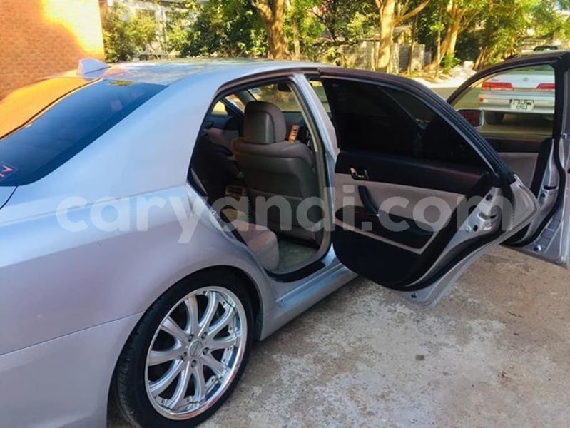 Big with watermark 57216667 1492190610914696 1419471482848804864 n