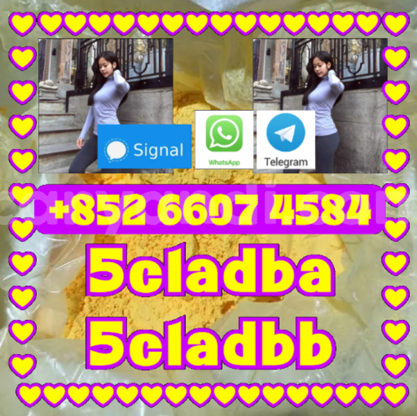 Big with watermark 5cladbb 5cladbb yellow powder 5cladba 5cl adb a 88