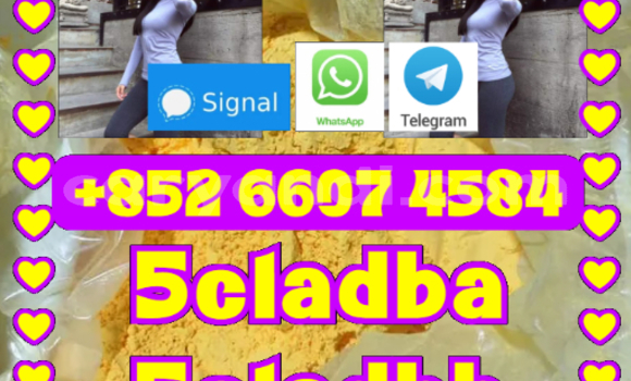 Buy 5CL-ADB supplier 5cladba in Chipata in Zambia Buy 5CL-ADB supplier 5cladba in Chipata in Zambia