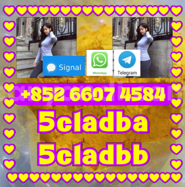 Big with watermark 5cladbb 5cladbb yellow powder 5cladba 5cl adb a 91