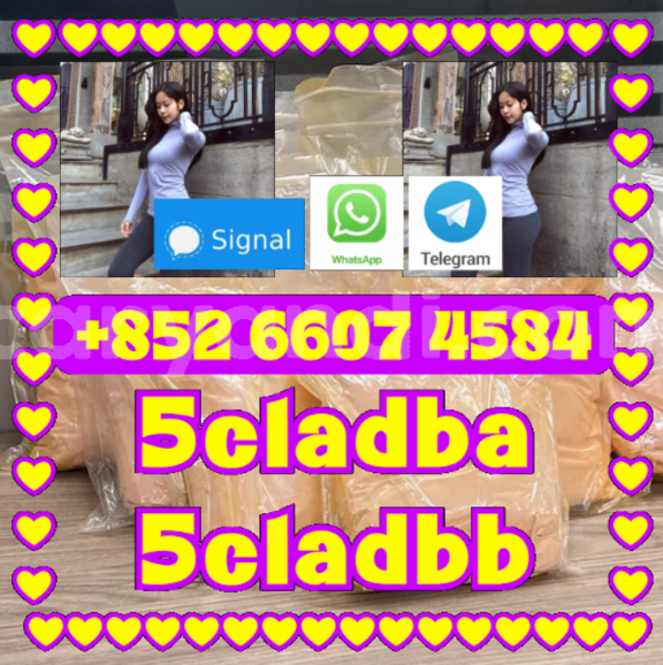 Big with watermark 5cladbb 5cladbb yellow powder 5cladba 5cl adb a 93