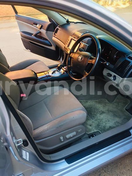 Big with watermark 57599603 1492190627581361 8781065352546091008 n