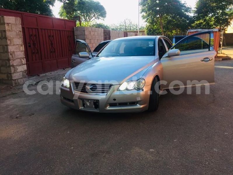 Big with watermark 57377377 1492190410914716 5091255521168588800 n