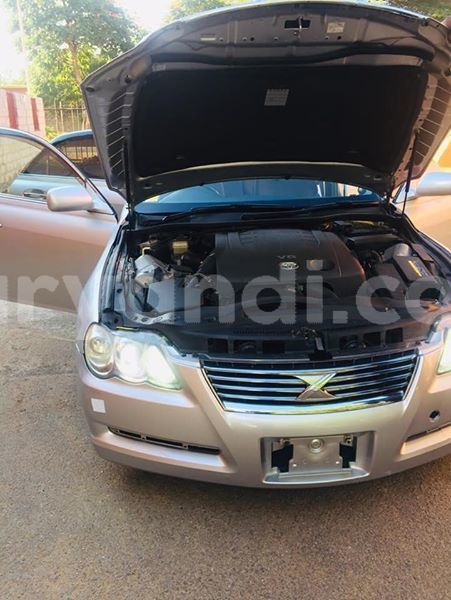 Big with watermark 57099063 1492190437581380 7874212673334804480 n