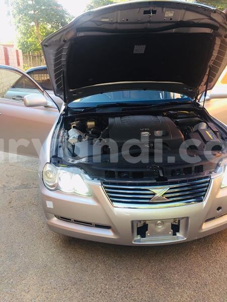 Big with watermark 57154413 1492190484248042 8183693336486346752 n