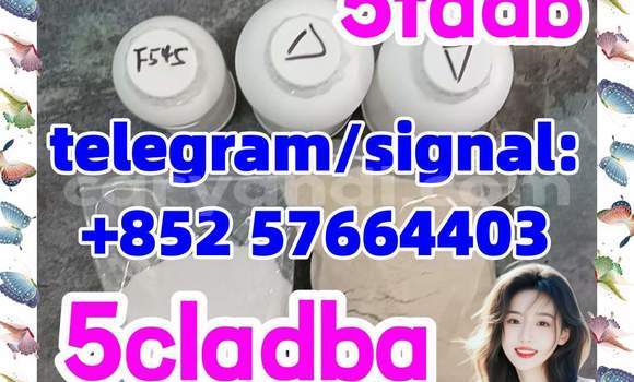 Medium with watermark 566