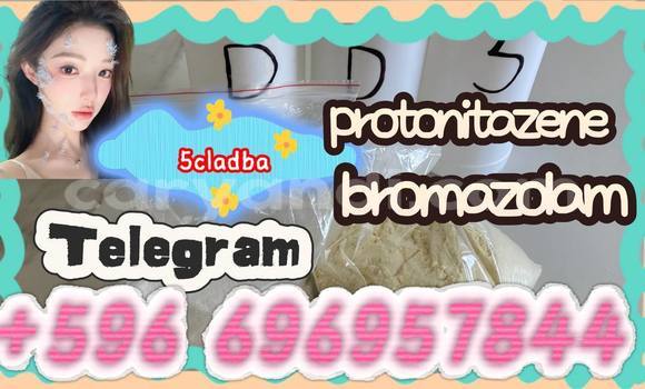 Medium with watermark photo 2026 07 02 01 10 31
