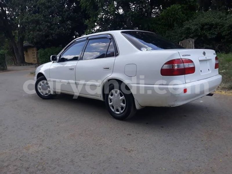 Big with watermark 57395727 1492199870913770 2131987848377663488 n