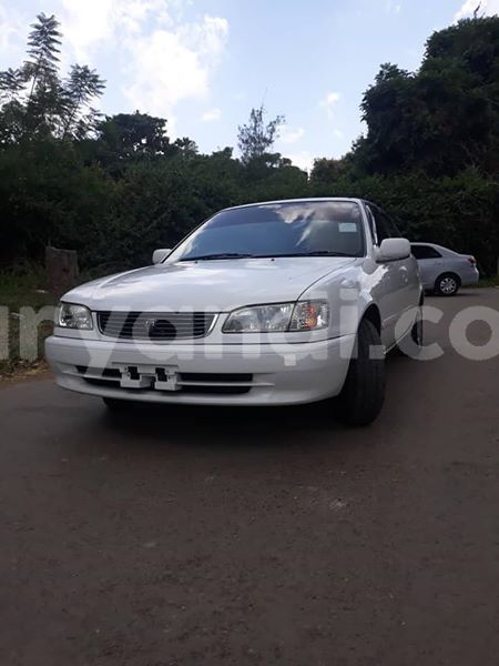 Big with watermark 57362568 1492199857580438 521106788590813184 n