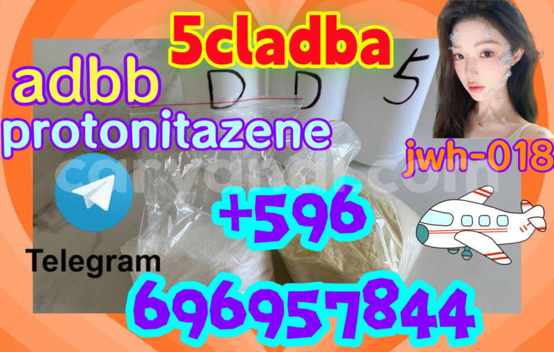 Big with watermark sfz