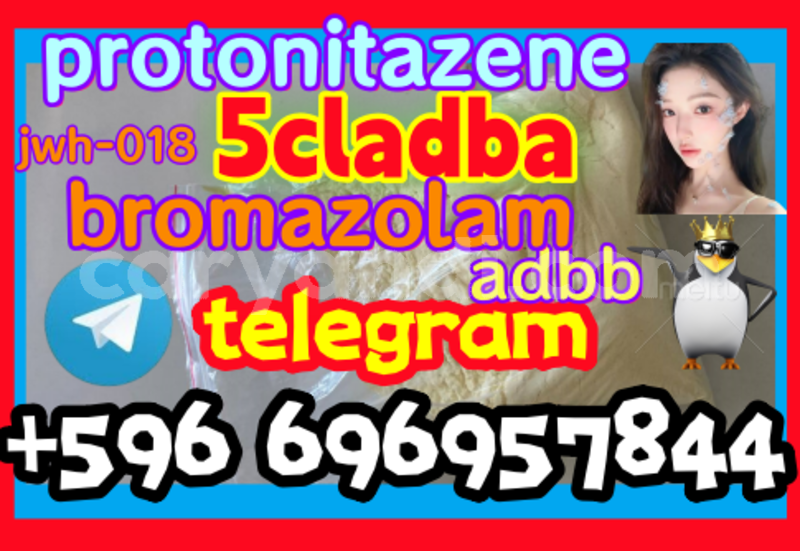 Big with watermark screenshot 2026 06 10 094829 011