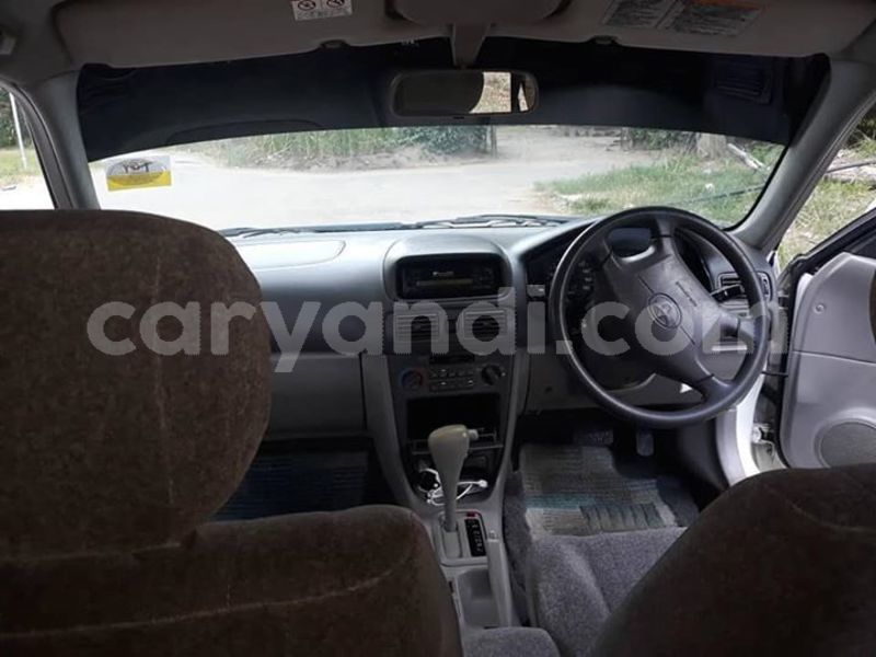 Big with watermark 57395768 1492199900913767 1950373021667557376 n