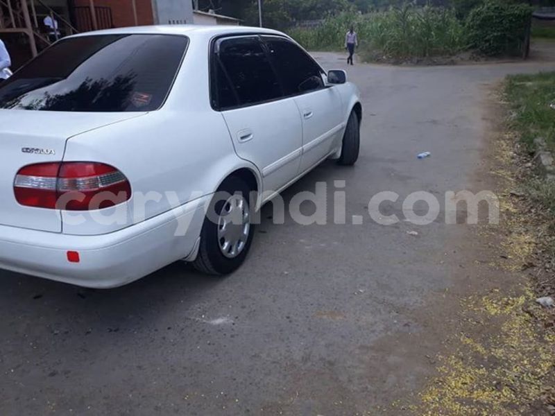 Big with watermark 57076166 1492199914247099 9096873494662086656 n