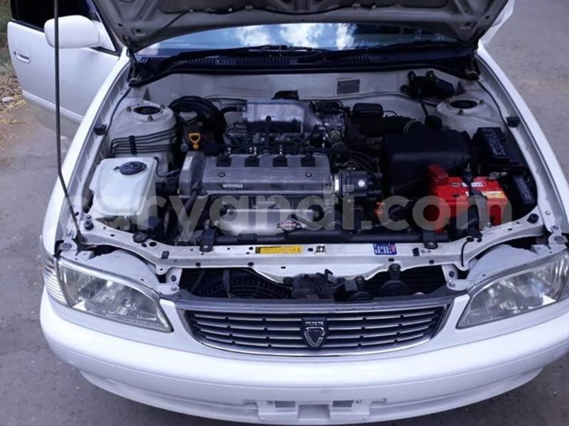 Big with watermark 57059860 1492199940913763 8073175409824366592 n