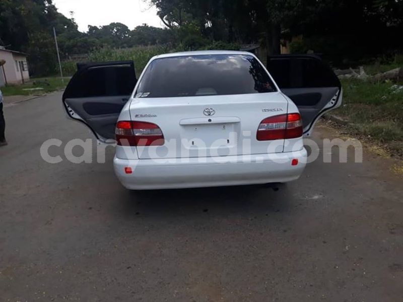 Big with watermark 57238816 1492199974247093 6491571900848799744 n