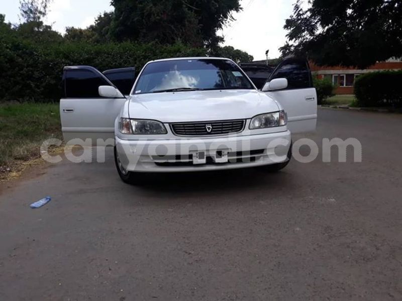 Big with watermark 57555421 1492200000913757 678256652654215168 n