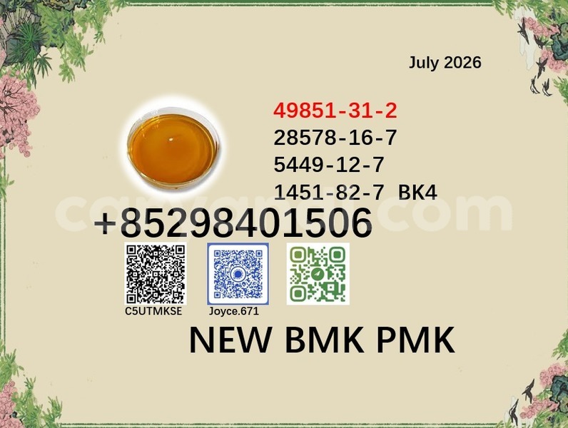 Big with watermark 49851 83