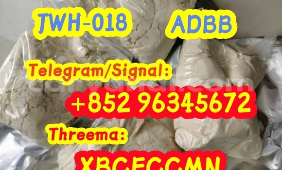 Medium with watermark 12