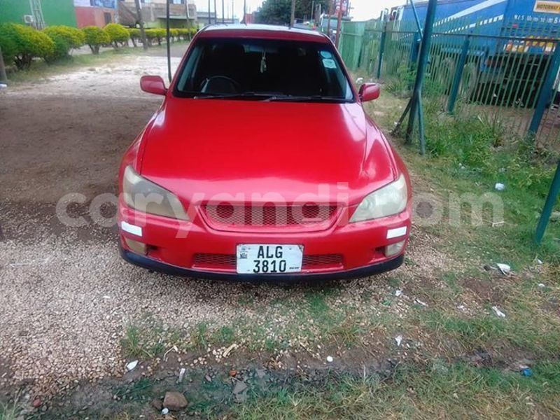 Big with watermark 57085349 408776493268825 3907276468094238720 n