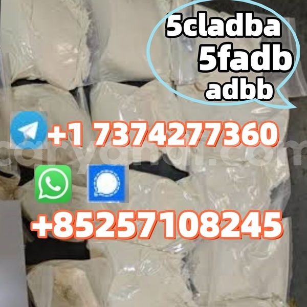 Big with watermark 5