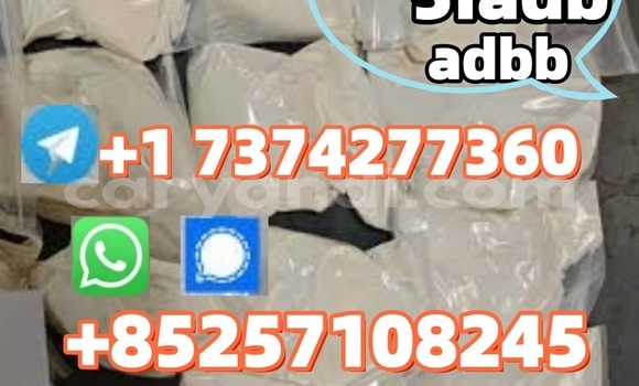 Medium with watermark 5