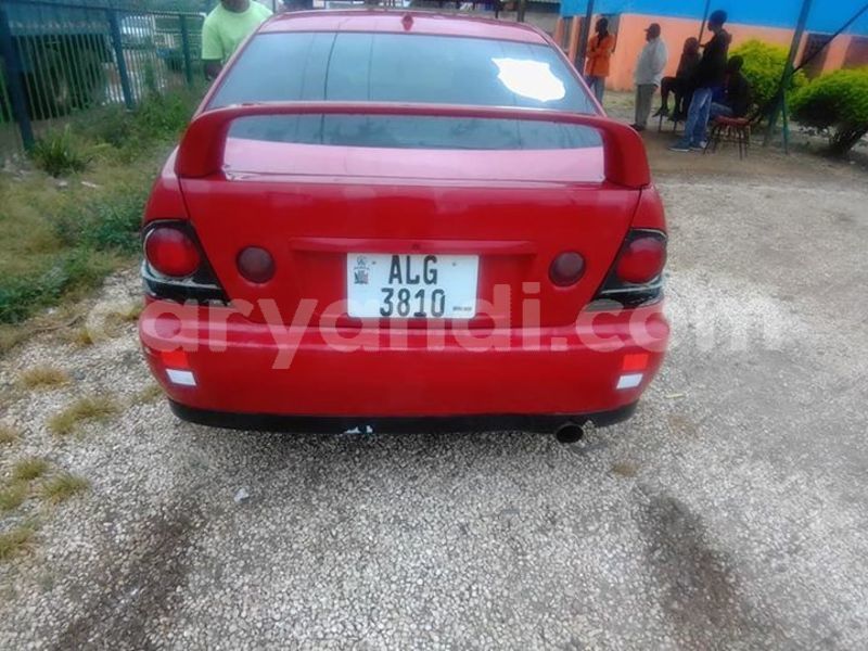 Big with watermark 56881360 408776509935490 4799852564344471552 n