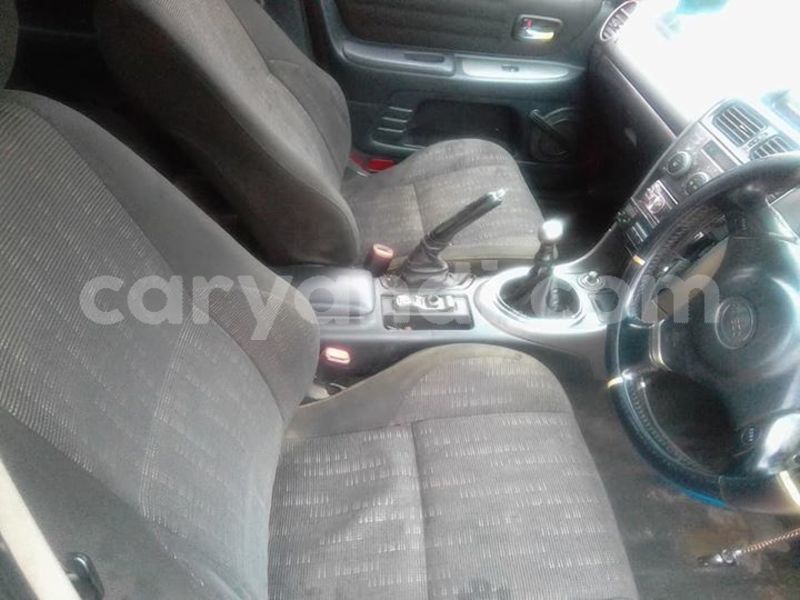 Big with watermark 56965527 408776539935487 4486377920910065664 n