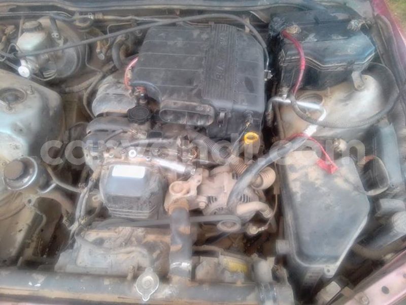 Big with watermark 56770443 408776576602150 2262589926879002624 n