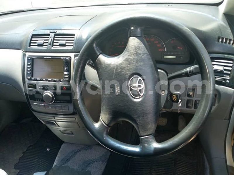 Big with watermark 56870072 408715119941629 2818967442171101184 n